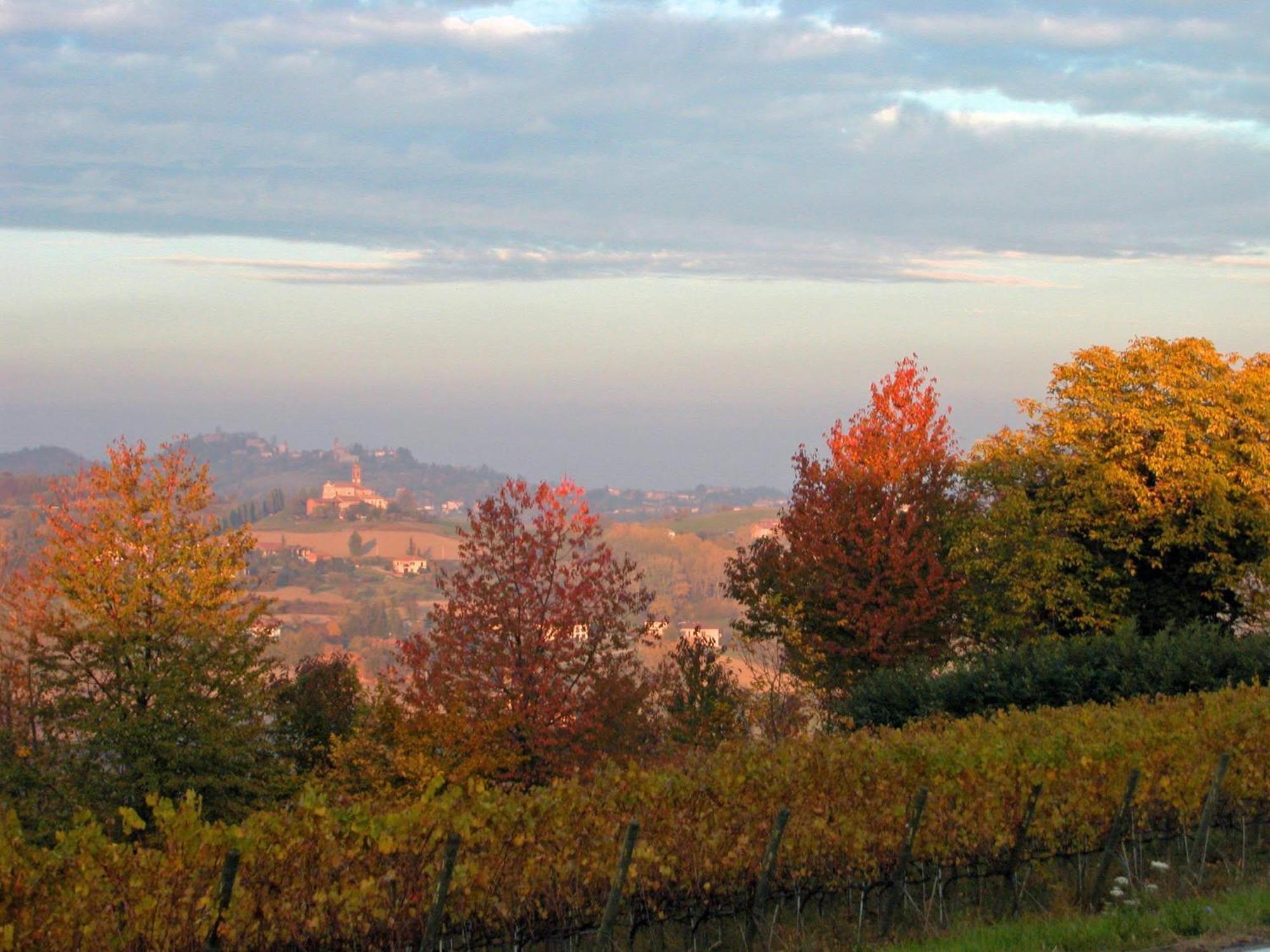 Al Riccio Bed & Breakfast Cocconato Exterior foto